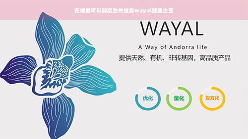 在哪里可以购买池州维奥wayal健脑之宝