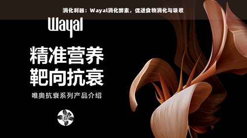 消化利器：Wayal消化酵素，促进食物消化与吸收